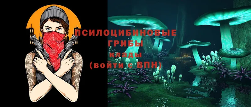 Псилоцибиновые грибы Magic Shrooms  Чебоксары 